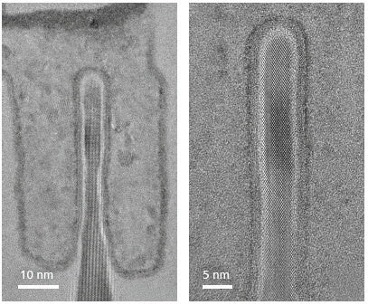 ナノ構造の電子顕微鏡写真