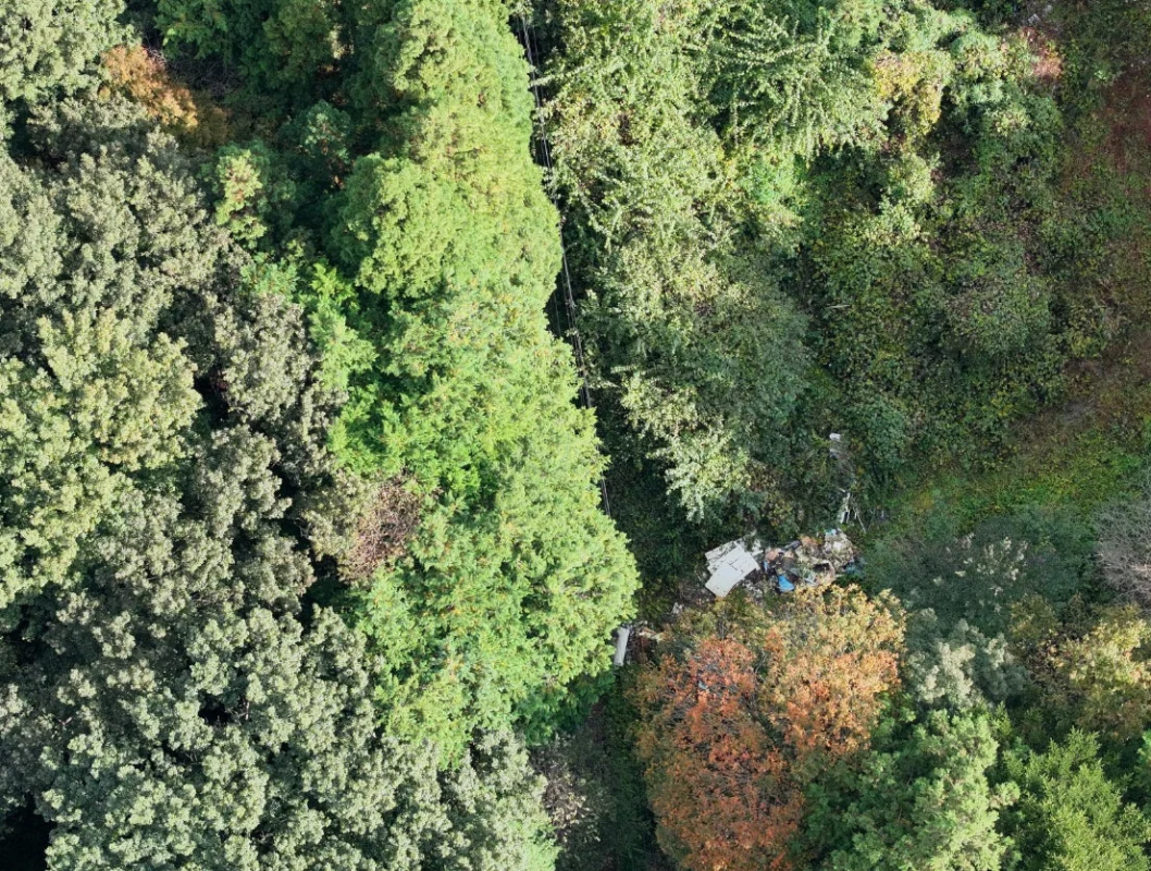 緑豊かな森林地帯を上空から捉えた画像です。中央右寄りの木々の間に大量のゴミや廃棄物が散乱しており、不法投棄された場所であることがうかがえます。一部の木々は紅葉し始めています。