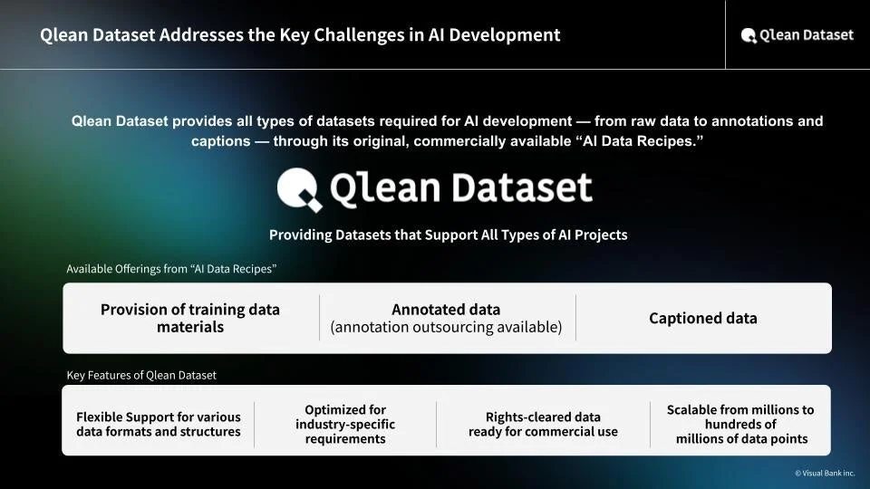 Qlean Datasetの課題解決