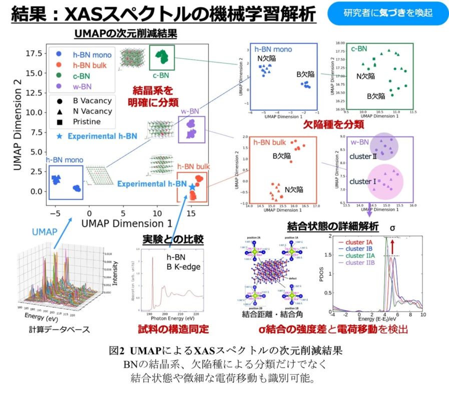 UMAPによるX線吸収スペクトル解析の結果