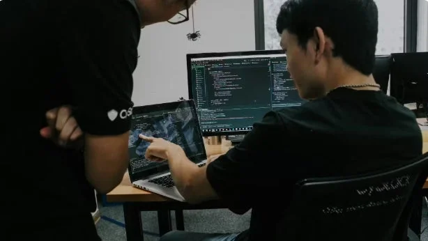 プログラミング, コーディング, 共同作業, IT, エンジニア, オフィス, 開発, パソコン, テクノロジー, ラップトップ, モニター, 男性