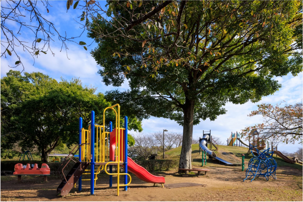 公園の滑り台とジャングルジム