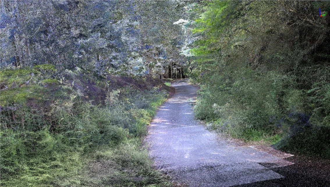 森の中の点群データ