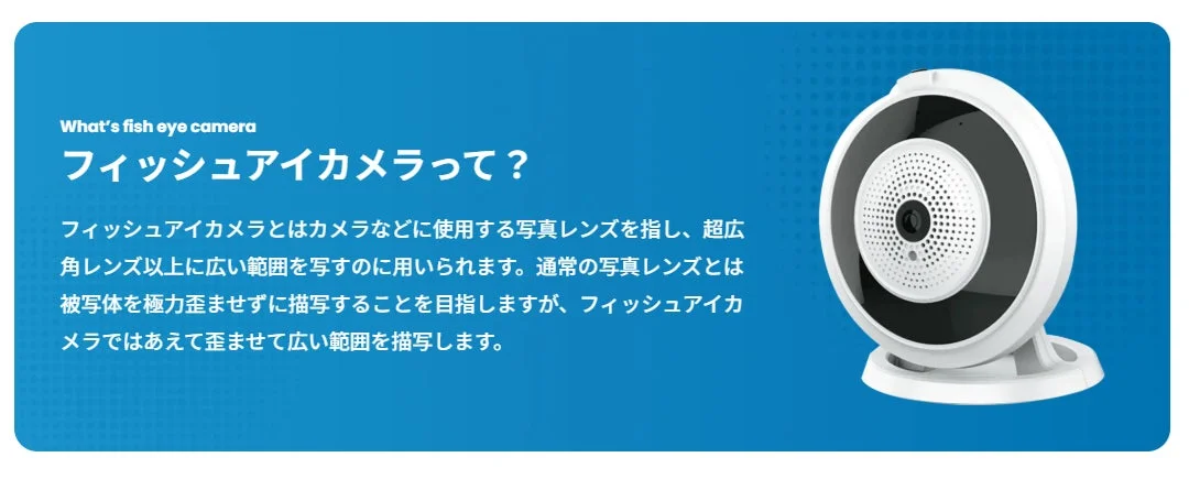 フィッシュアイカメラとは