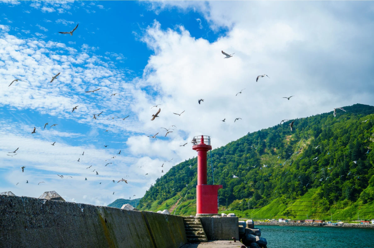 青い空と白い雲の下、赤い灯台が立つ防波堤の周りを多くのカモメが飛び交う風景