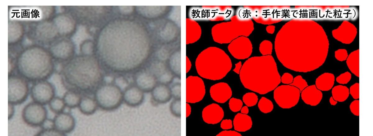 元画像と教師データの比較