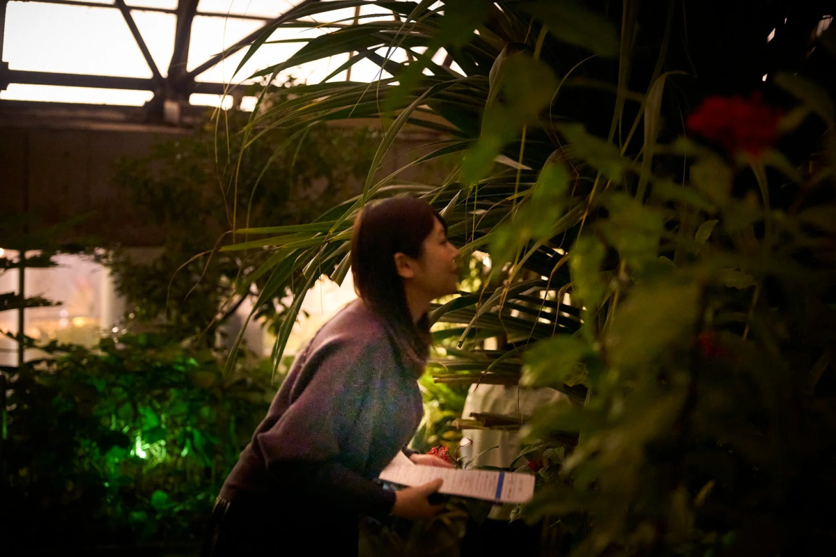 植物園で植物を観察する女性