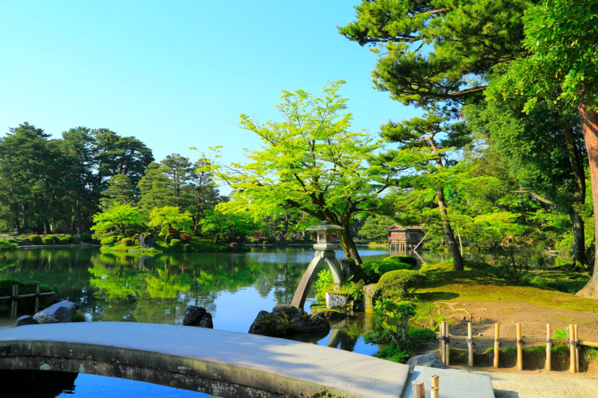 青空の下、豊かな緑の木々が池に映り込む美しい日本庭園の風景