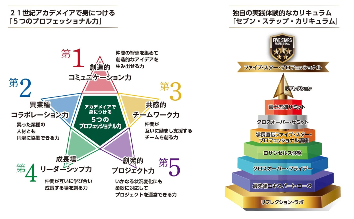 21世紀アカデメイアの教育プログラムを説明する図。創造的コミュニケーション力など「5つのプロフェッショナル力」と、リフレクション・ラボからファイブ・スター・プロフェッショナルまでの「セブン・ステップ・カリキュラム」を通して、実践的な能力開発と学習プロセスを示しています。