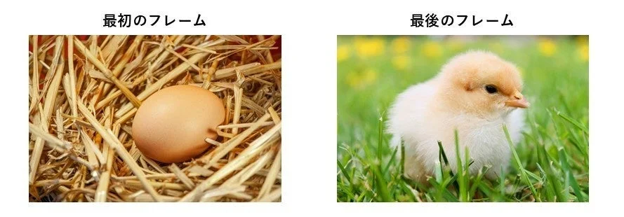 卵からひよこへの変化を示す生成例