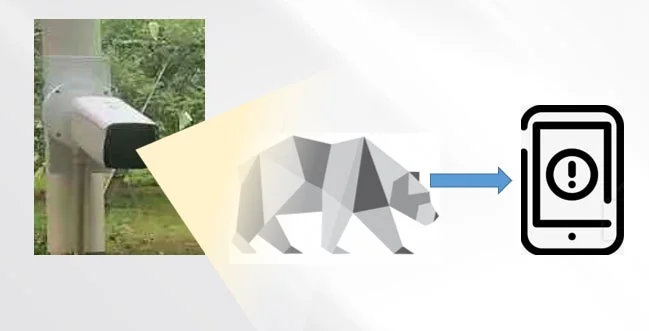 センサーが熊を検知し、その情報がスマートフォンに警告として通知されるシステムを表す図。