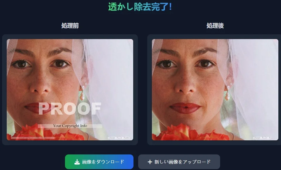 画像ウォーターマーク除去ツールのUI
