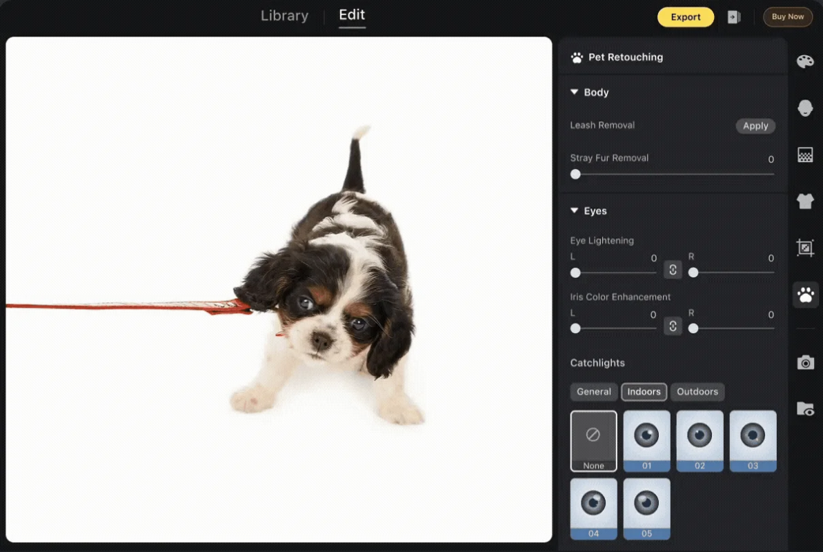 ペットレタッチ機能
