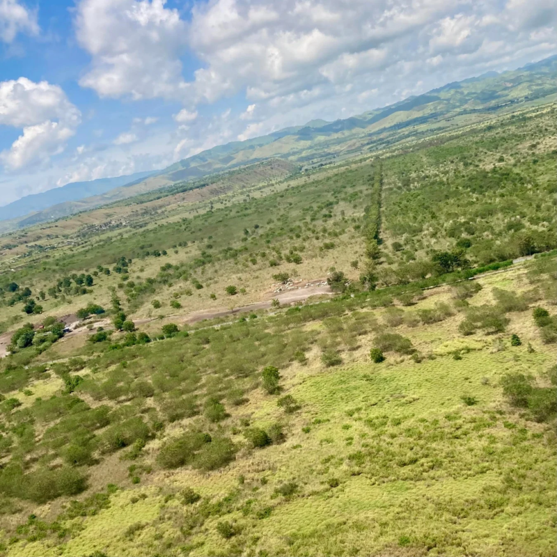 雲が浮かぶ青空の下、広大な緑の丘陵地帯を空撮した画像です。遠くには山々が連なり、手前にはまばらに木々が生えた草原が広がっています。自然豊かな景観が特徴的です。