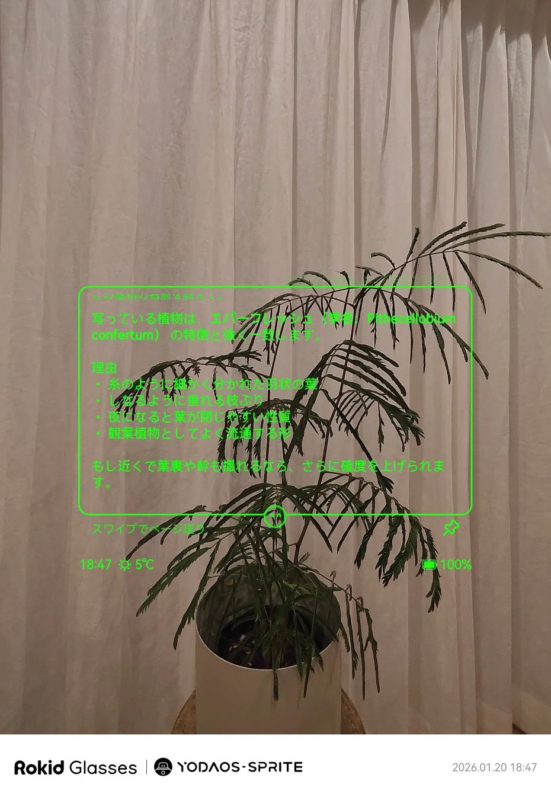 ARキャプチャ機能（植物認識）