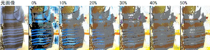 実験結果の画像