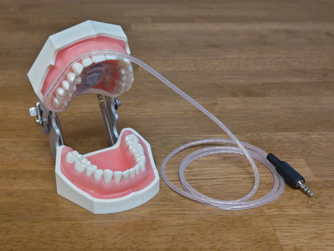歯科模型に装着されたマウスピース型人工喉頭