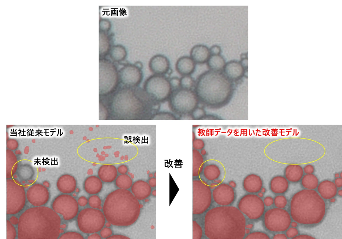 教師データによる改善効果の比較