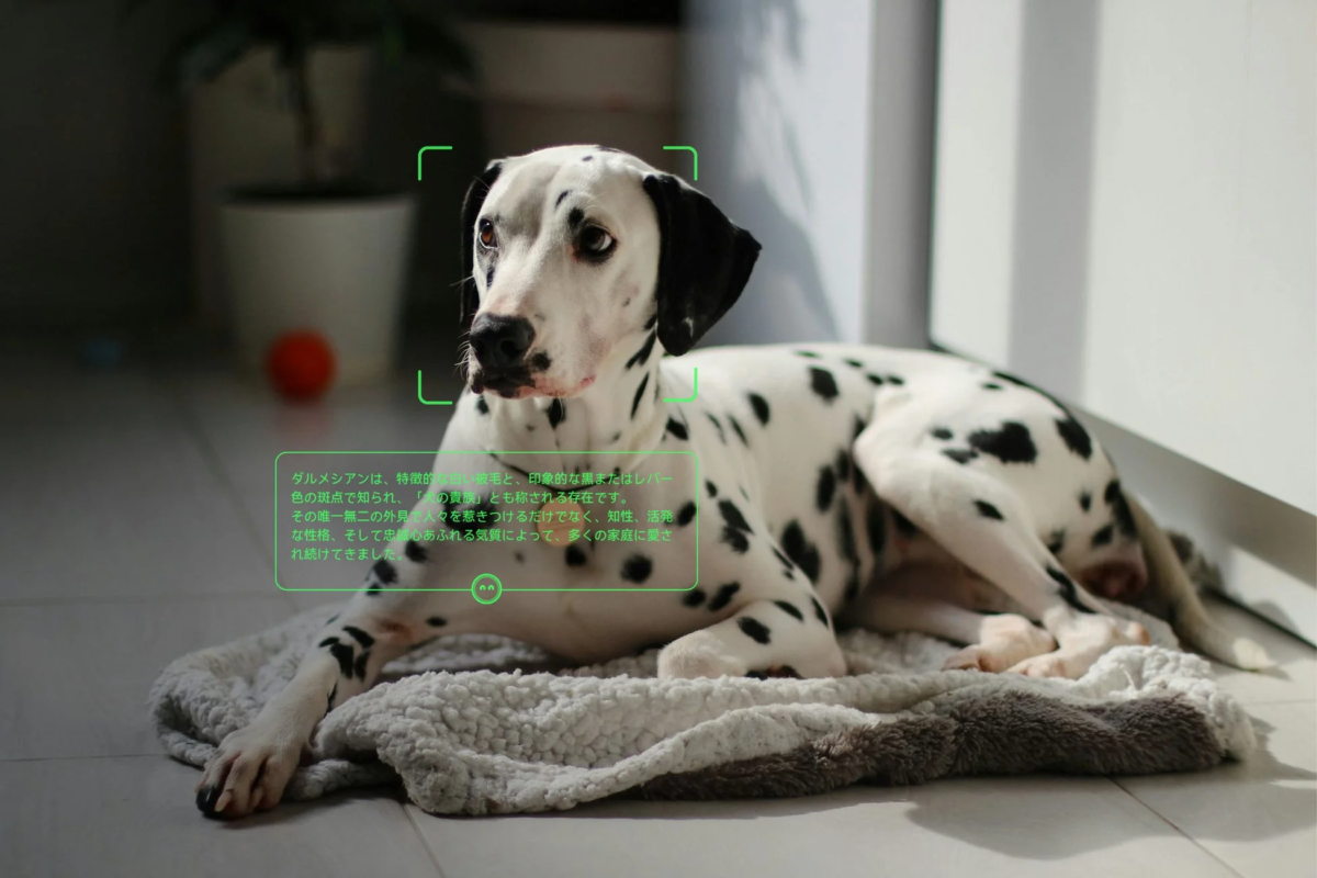 ダルメシアンの解説