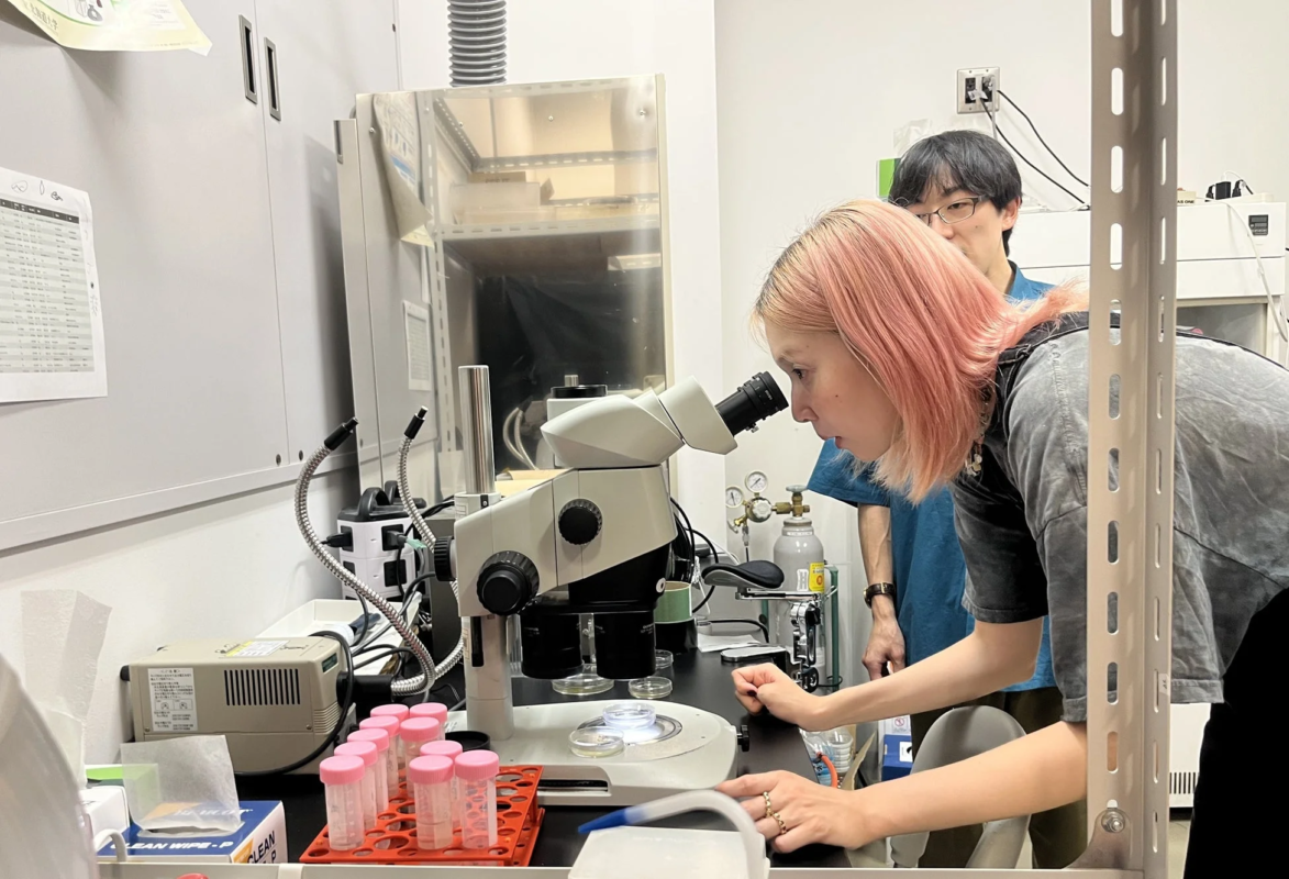 研究室で顕微鏡を覗く人々の様子