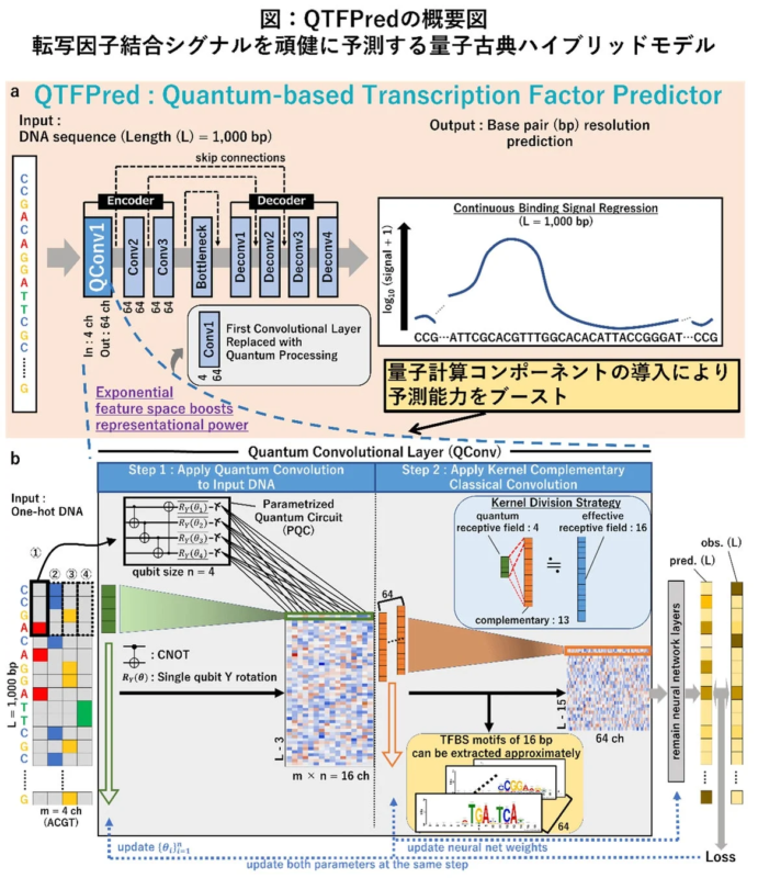 QTFPredの概要図